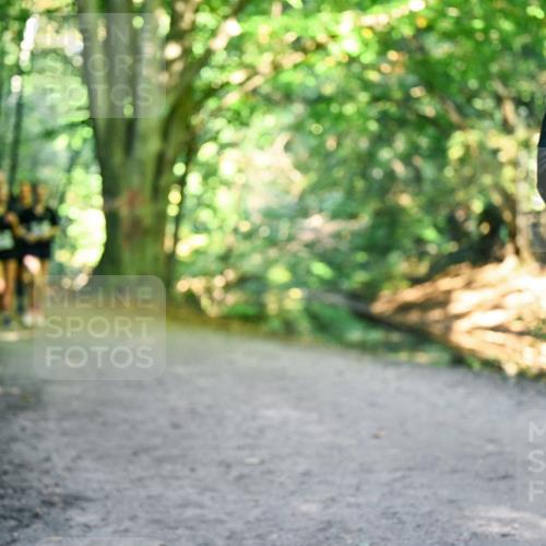 28.09.2025 - 33. Volkslauf durch das schöne Alstertal Dr. Thomas Lammeyer http://msf.ph/oto/8958815 28.09.2025 10:52:50 Laufen 132 meine-sportfotos.de