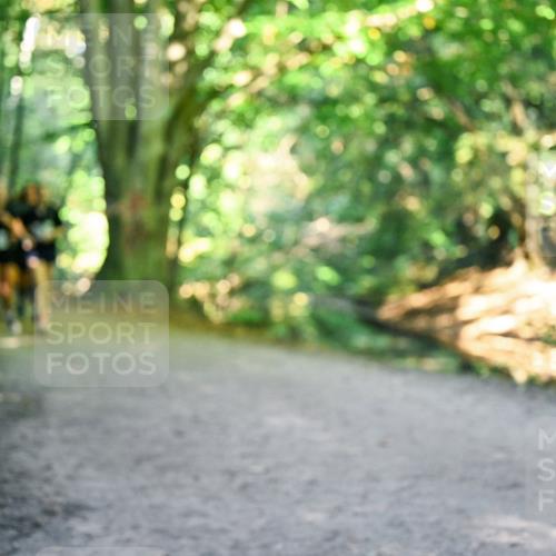28.09.2025 - 33. Volkslauf durch das schöne Alstertal Dr. Thomas Lammeyer http://msf.ph/oto/8958816 28.09.2025 10:52:50 Laufen  meine-sportfotos.de