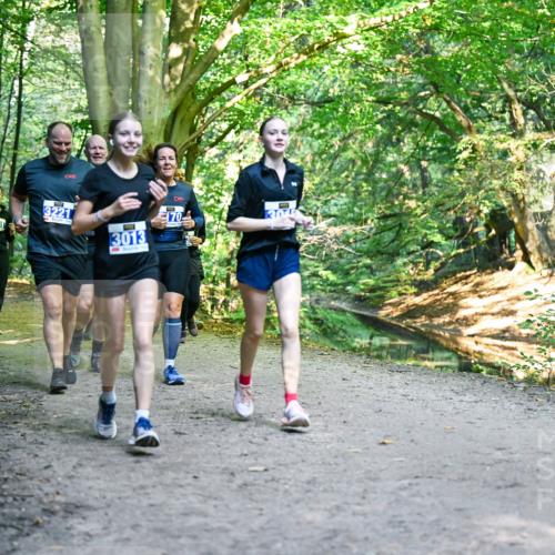 28.09.2025 - 33. Volkslauf durch das schöne Alstertal Dr. Thomas Lammeyer http://msf.ph/oto/8958818 28.09.2025 10:52:54 Laufen 3161, 3328, 3221, 3013, 70, 30 meine-sportfotos.de