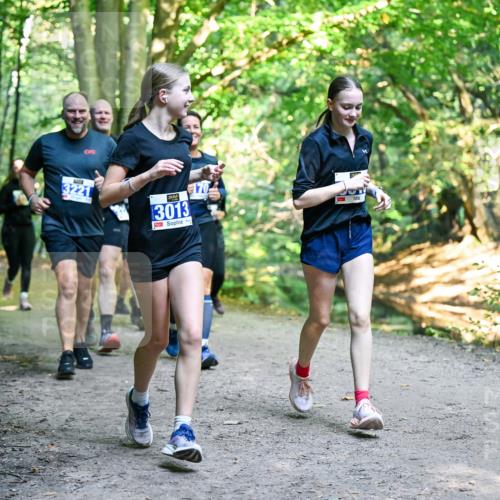 28.09.2025 - 33. Volkslauf durch das schöne Alstertal Dr. Thomas Lammeyer http://msf.ph/oto/8958827 28.09.2025 10:52:54 Laufen 3221, 3013, 170 meine-sportfotos.de