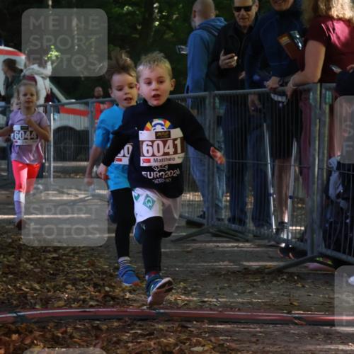 28.09.2025 - 33. Volkslauf durch das schöne Alstertal Strokosch-Dieckow http://msf.ph/oto/8958830 28.09.2025 10:42:17 Ziel  meine-sportfotos.de