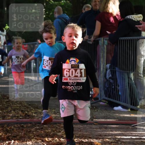 28.09.2025 - 33. Volkslauf durch das schöne Alstertal Strokosch-Dieckow http://msf.ph/oto/8958833 28.09.2025 10:42:18 Ziel  meine-sportfotos.de