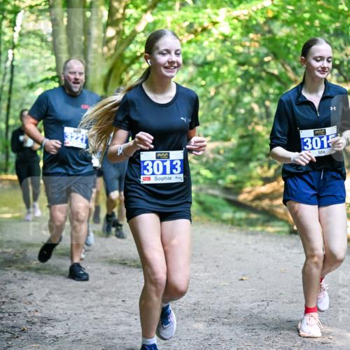 28.09.2025 - 33. Volkslauf durch das schöne Alstertal Dr. Thomas Lammeyer http://msf.ph/oto/8958834 28.09.2025 10:52:55 Laufen 3013, 301 meine-sportfotos.de