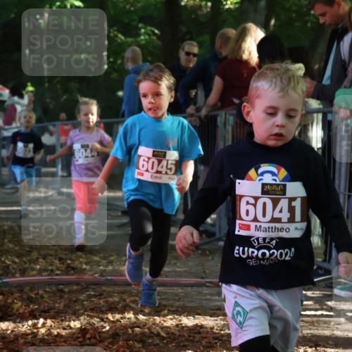 28.09.2025 - 33. Volkslauf durch das schöne Alstertal Strokosch-Dieckow http://msf.ph/oto/8958835 28.09.2025 10:42:18 Ziel  meine-sportfotos.de