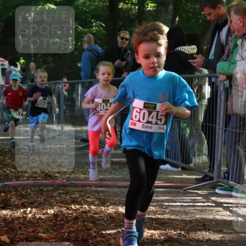 28.09.2025 - 33. Volkslauf durch das schöne Alstertal Strokosch-Dieckow http://msf.ph/oto/8958840 28.09.2025 10:42:19 Ziel  meine-sportfotos.de