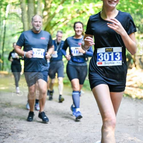28.09.2025 - 33. Volkslauf durch das schöne Alstertal Dr. Thomas Lammeyer http://msf.ph/oto/8958841 28.09.2025 10:52:55 Laufen 3013, 9, 3 meine-sportfotos.de