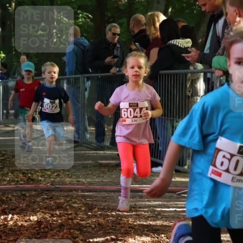 28.09.2025 - 33. Volkslauf durch das schöne Alstertal Strokosch-Dieckow http://msf.ph/oto/8958843 28.09.2025 10:42:19 Ziel  meine-sportfotos.de