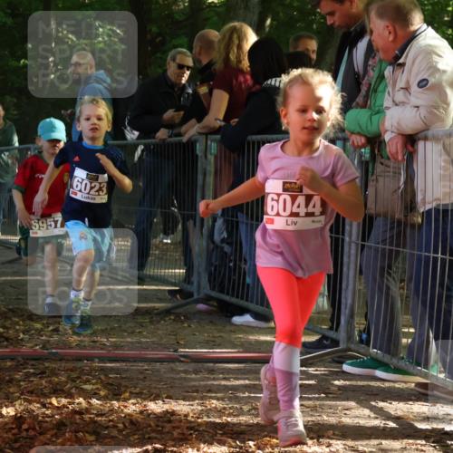 28.09.2025 - 33. Volkslauf durch das schöne Alstertal Strokosch-Dieckow http://msf.ph/oto/8958846 28.09.2025 10:42:20 Ziel  meine-sportfotos.de