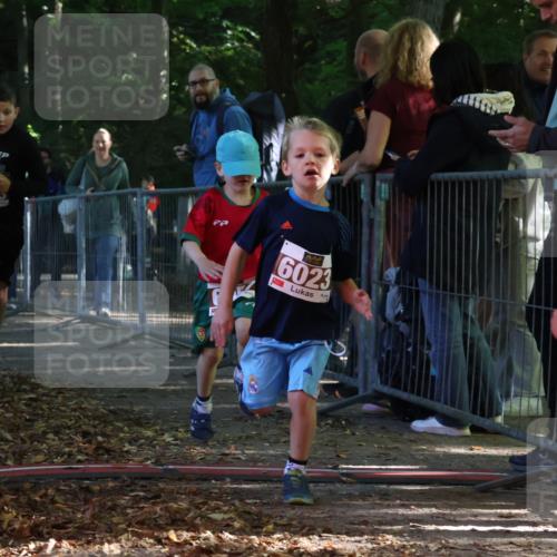 28.09.2025 - 33. Volkslauf durch das schöne Alstertal Strokosch-Dieckow http://msf.ph/oto/8958848 28.09.2025 10:42:20 Ziel  meine-sportfotos.de