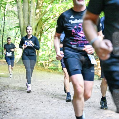 28.09.2025 - 33. Volkslauf durch das schöne Alstertal Dr. Thomas Lammeyer http://msf.ph/oto/8958859 28.09.2025 10:52:57 Laufen 316, 32 meine-sportfotos.de