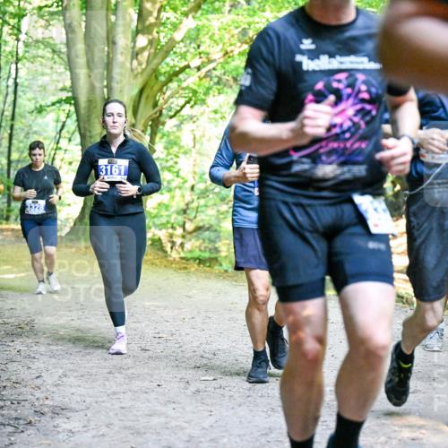 28.09.2025 - 33. Volkslauf durch das schöne Alstertal Dr. Thomas Lammeyer http://msf.ph/oto/8958861 28.09.2025 10:52:58 Laufen 3328, 3161 meine-sportfotos.de