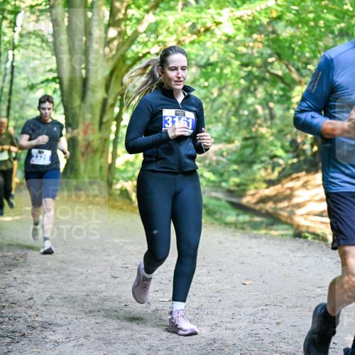 28.09.2025 - 33. Volkslauf durch das schöne Alstertal Dr. Thomas Lammeyer http://msf.ph/oto/8958874 28.09.2025 10:52:59 Laufen 3161, 3105 meine-sportfotos.de