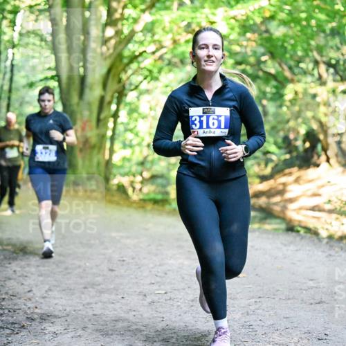28.09.2025 - 33. Volkslauf durch das schöne Alstertal Dr. Thomas Lammeyer http://msf.ph/oto/8958879 28.09.2025 10:52:59 Laufen 3161 meine-sportfotos.de