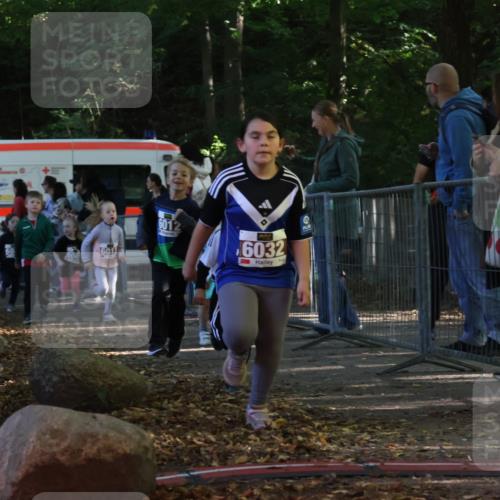 28.09.2025 - 33. Volkslauf durch das schöne Alstertal Strokosch-Dieckow http://msf.ph/oto/8958889 28.09.2025 10:42:29 Ziel  meine-sportfotos.de