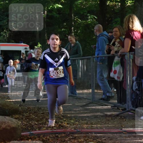 28.09.2025 - 33. Volkslauf durch das schöne Alstertal Strokosch-Dieckow http://msf.ph/oto/8958892 28.09.2025 10:42:30 Ziel  meine-sportfotos.de