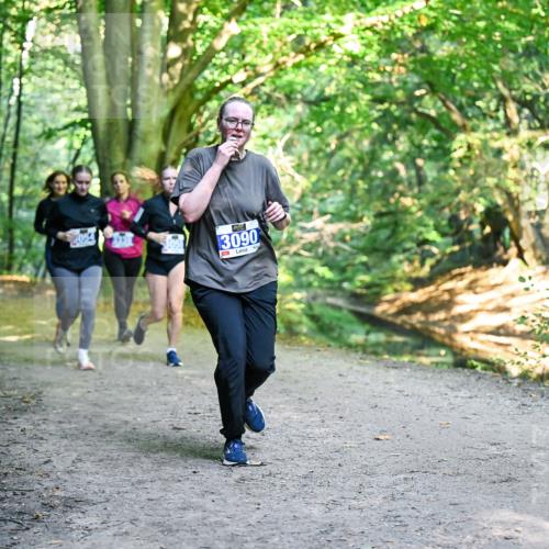 28.09.2025 - 33. Volkslauf durch das schöne Alstertal Dr. Thomas Lammeyer http://msf.ph/oto/8958908 28.09.2025 10:53:03 Laufen 3090 meine-sportfotos.de