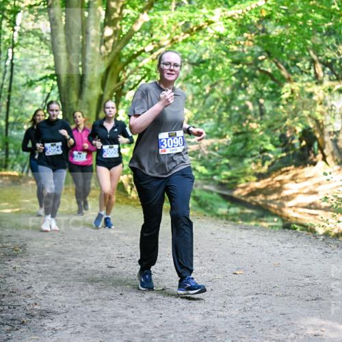28.09.2025 - 33. Volkslauf durch das schöne Alstertal Dr. Thomas Lammeyer http://msf.ph/oto/8958910 28.09.2025 10:53:03 Laufen 3050, 3090 meine-sportfotos.de