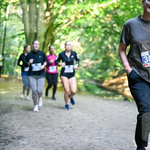 28.09.2025 - 33. Volkslauf durch das schöne Alstertal Dr. Thomas Lammeyer http://msf.ph/oto/8958924 28.09.2025 10:53:04 Laufen 3090 meine-sportfotos.de