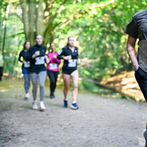 28.09.2025 - 33. Volkslauf durch das schöne Alstertal Dr. Thomas Lammeyer http://msf.ph/oto/8958926 28.09.2025 10:53:04 Laufen 3090 meine-sportfotos.de