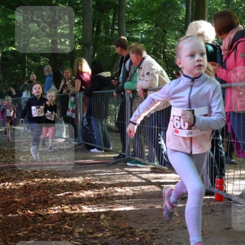 28.09.2025 - 33. Volkslauf durch das schöne Alstertal Strokosch-Dieckow http://msf.ph/oto/8958927 28.09.2025 10:42:36 Ziel  meine-sportfotos.de