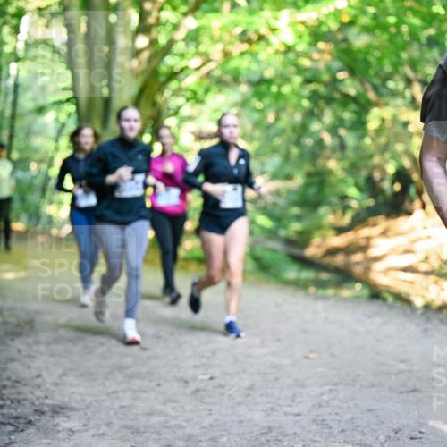 28.09.2025 - 33. Volkslauf durch das schöne Alstertal Dr. Thomas Lammeyer http://msf.ph/oto/8958928 28.09.2025 10:53:05 Laufen  meine-sportfotos.de