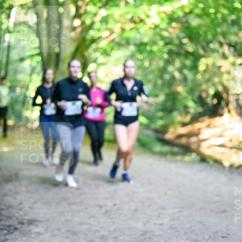 28.09.2025 - 33. Volkslauf durch das schöne Alstertal Dr. Thomas Lammeyer http://msf.ph/oto/8958929 28.09.2025 10:53:05 Laufen  meine-sportfotos.de