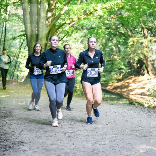 28.09.2025 - 33. Volkslauf durch das schöne Alstertal Dr. Thomas Lammeyer http://msf.ph/oto/8958931 28.09.2025 10:53:05 Laufen 235, 3054, 3338, 3050 meine-sportfotos.de