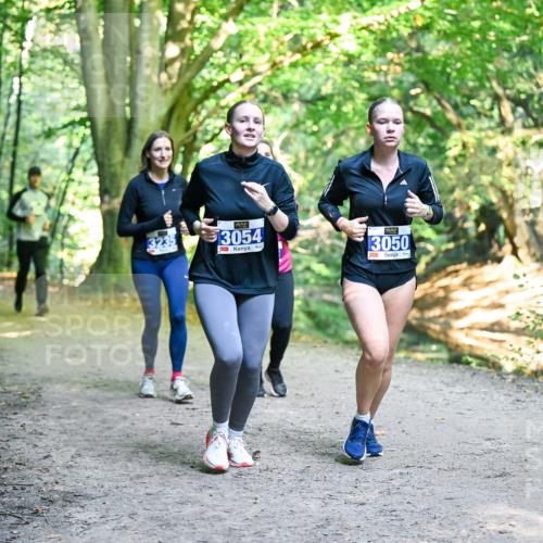28.09.2025 - 33. Volkslauf durch das schöne Alstertal Dr. Thomas Lammeyer http://msf.ph/oto/8958933 28.09.2025 10:53:06 Laufen 13054, 3050 meine-sportfotos.de