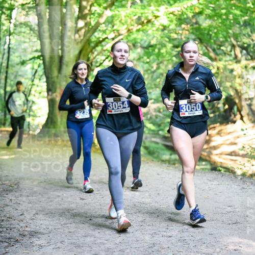 28.09.2025 - 33. Volkslauf durch das schöne Alstertal Dr. Thomas Lammeyer http://msf.ph/oto/8958935 28.09.2025 10:53:06 Laufen 3054, 3050 meine-sportfotos.de