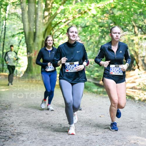 28.09.2025 - 33. Volkslauf durch das schöne Alstertal Dr. Thomas Lammeyer http://msf.ph/oto/8958936 28.09.2025 10:53:06 Laufen 3054, 3050 meine-sportfotos.de