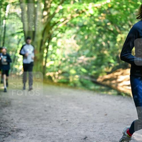 28.09.2025 - 33. Volkslauf durch das schöne Alstertal Dr. Thomas Lammeyer http://msf.ph/oto/8958958 28.09.2025 10:53:08 Laufen  meine-sportfotos.de