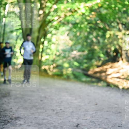 28.09.2025 - 33. Volkslauf durch das schöne Alstertal Dr. Thomas Lammeyer http://msf.ph/oto/8958962 28.09.2025 10:53:08 Laufen  meine-sportfotos.de