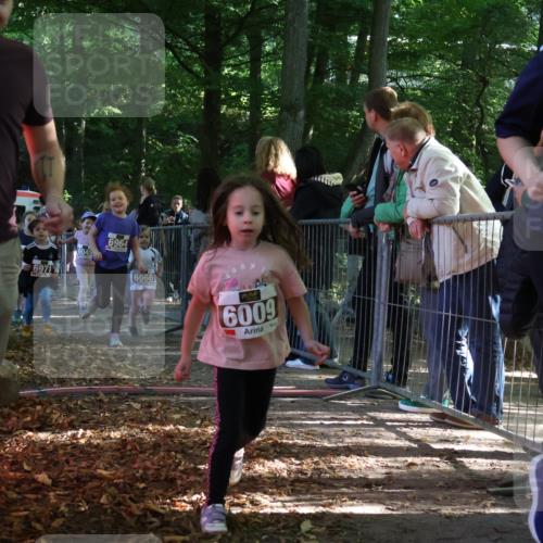 28.09.2025 - 33. Volkslauf durch das schöne Alstertal Strokosch-Dieckow http://msf.ph/oto/8959006 28.09.2025 10:42:54 Ziel  meine-sportfotos.de