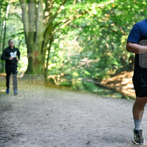 28.09.2025 - 33. Volkslauf durch das schöne Alstertal Dr. Thomas Lammeyer http://msf.ph/oto/8959011 28.09.2025 10:53:14 Laufen  meine-sportfotos.de