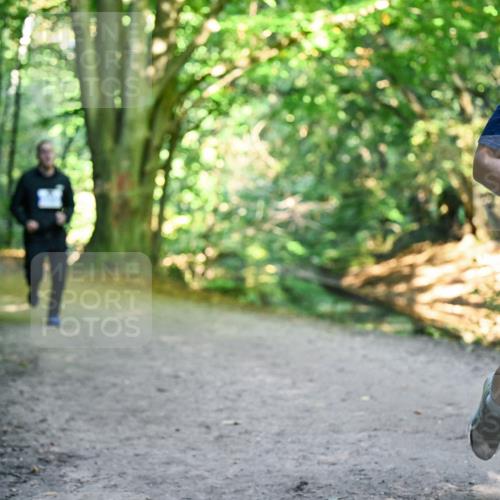 28.09.2025 - 33. Volkslauf durch das schöne Alstertal Dr. Thomas Lammeyer http://msf.ph/oto/8959013 28.09.2025 10:53:14 Laufen  meine-sportfotos.de
