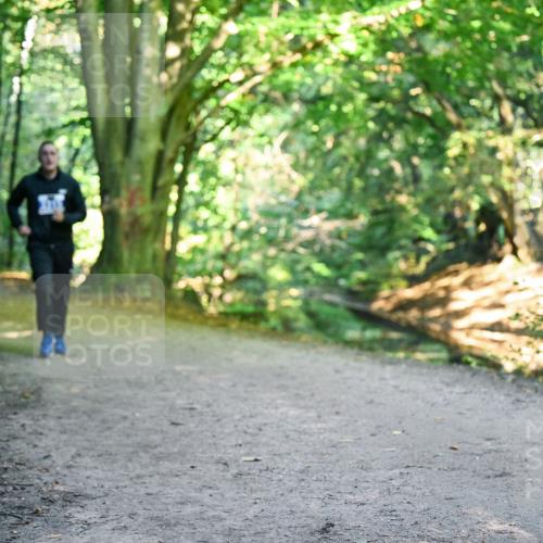 28.09.2025 - 33. Volkslauf durch das schöne Alstertal Dr. Thomas Lammeyer http://msf.ph/oto/8959015 28.09.2025 10:53:14 Laufen  meine-sportfotos.de