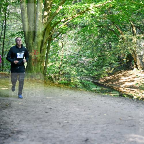 28.09.2025 - 33. Volkslauf durch das schöne Alstertal Dr. Thomas Lammeyer http://msf.ph/oto/8959019 28.09.2025 10:53:14 Laufen 3315 meine-sportfotos.de