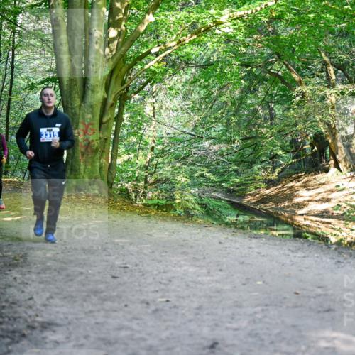 28.09.2025 - 33. Volkslauf durch das schöne Alstertal Dr. Thomas Lammeyer http://msf.ph/oto/8959021 28.09.2025 10:53:15 Laufen 322, 3315 meine-sportfotos.de