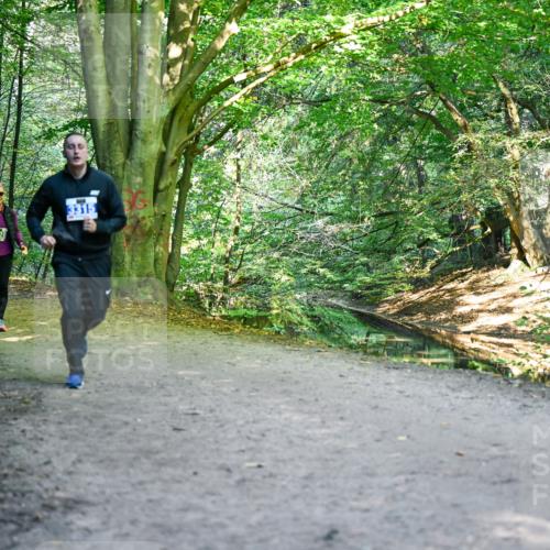 28.09.2025 - 33. Volkslauf durch das schöne Alstertal Dr. Thomas Lammeyer http://msf.ph/oto/8959025 28.09.2025 10:53:15 Laufen 3228, 3315 meine-sportfotos.de