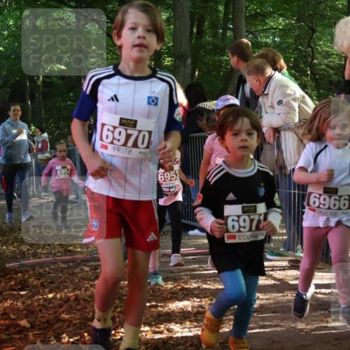 28.09.2025 - 33. Volkslauf durch das schöne Alstertal Strokosch-Dieckow http://msf.ph/oto/8959027 28.09.2025 10:42:58 Ziel  meine-sportfotos.de