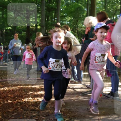28.09.2025 - 33. Volkslauf durch das schöne Alstertal Strokosch-Dieckow http://msf.ph/oto/8959035 28.09.2025 10:42:59 Ziel  meine-sportfotos.de
