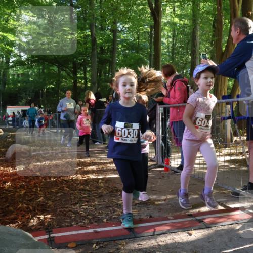 28.09.2025 - 33. Volkslauf durch das schöne Alstertal Strokosch-Dieckow http://msf.ph/oto/8959038 28.09.2025 10:43:00 Ziel  meine-sportfotos.de