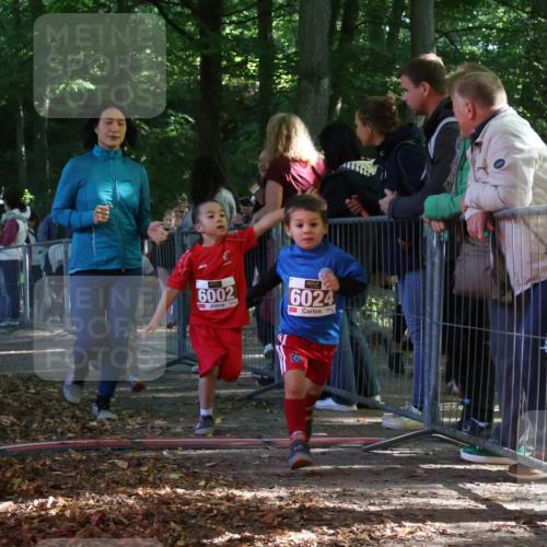 28.09.2025 - 33. Volkslauf durch das schöne Alstertal Strokosch-Dieckow http://msf.ph/oto/8959050 28.09.2025 10:43:03 Ziel  meine-sportfotos.de