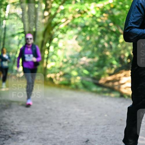 28.09.2025 - 33. Volkslauf durch das schöne Alstertal Dr. Thomas Lammeyer http://msf.ph/oto/8959056 28.09.2025 10:53:18 Laufen 3315 meine-sportfotos.de