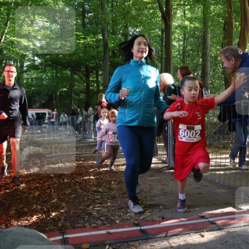 28.09.2025 - 33. Volkslauf durch das schöne Alstertal Strokosch-Dieckow http://msf.ph/oto/8959066 28.09.2025 10:43:05 Ziel  meine-sportfotos.de
