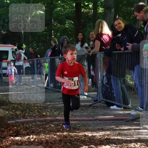 28.09.2025 - 33. Volkslauf durch das schöne Alstertal Strokosch-Dieckow http://msf.ph/oto/8959078 28.09.2025 10:43:12 Ziel  meine-sportfotos.de