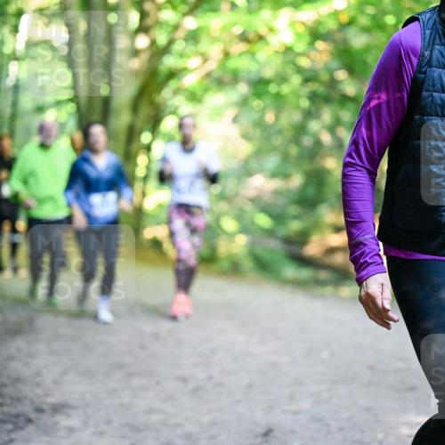 28.09.2025 - 33. Volkslauf durch das schöne Alstertal Dr. Thomas Lammeyer http://msf.ph/oto/8959081 28.09.2025 10:53:21 Laufen 228 meine-sportfotos.de