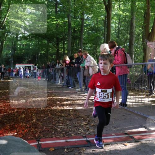 28.09.2025 - 33. Volkslauf durch das schöne Alstertal Strokosch-Dieckow http://msf.ph/oto/8959086 28.09.2025 10:43:14 Ziel  meine-sportfotos.de