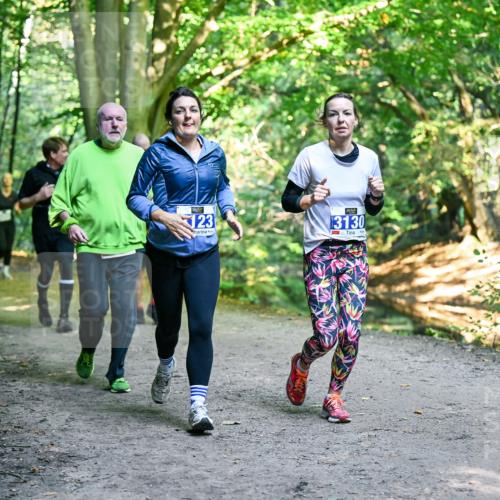 28.09.2025 - 33. Volkslauf durch das schöne Alstertal Dr. Thomas Lammeyer http://msf.ph/oto/8959092 28.09.2025 10:53:22 Laufen 123, 3130 meine-sportfotos.de