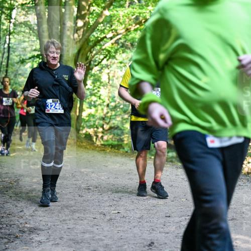 28.09.2025 - 33. Volkslauf durch das schöne Alstertal Dr. Thomas Lammeyer http://msf.ph/oto/8959116 28.09.2025 10:53:25 Laufen 3240 meine-sportfotos.de